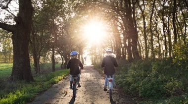 Remontée des objets labellisés "Accueil Vélo" depuis Apidae sur France Vélo Tourisme