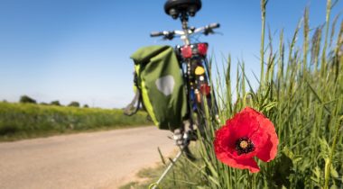 Offres vélo dans Apidae : (re)découvrez les guides de saisie